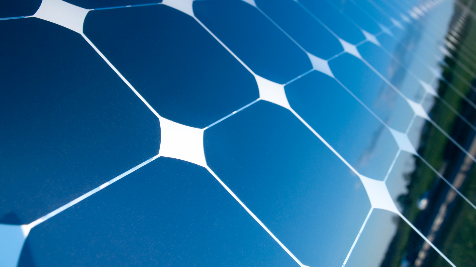 Kayısı bahçelerinde güneş paneli uygulamasıyla enerji ve verimlilik hedefleniyor