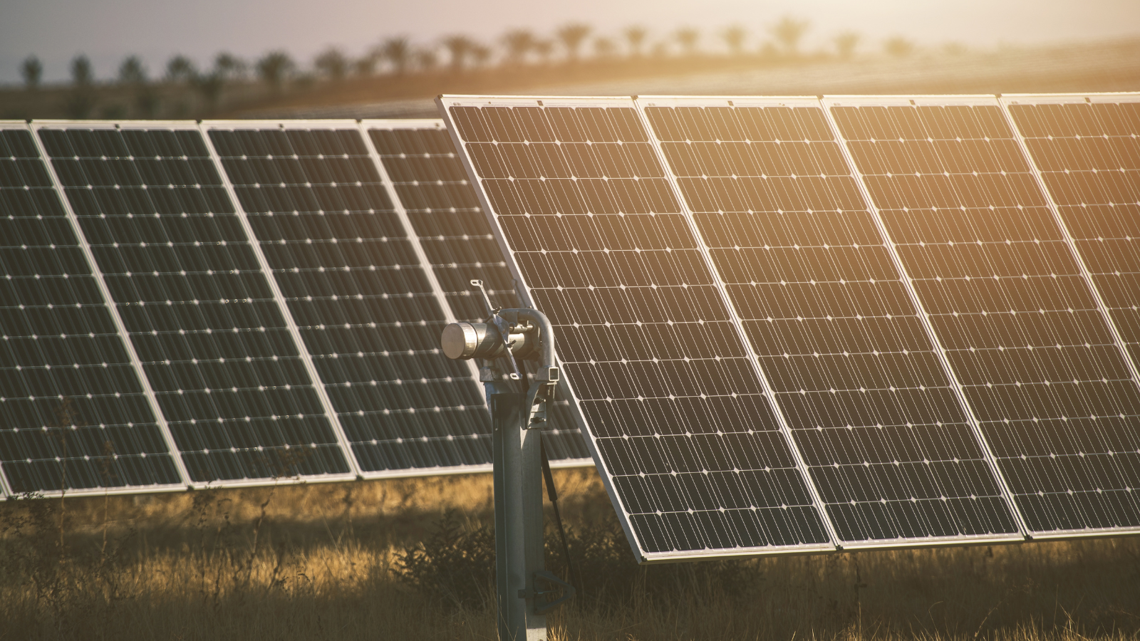 Güneş enerjisi, küresel yenilenebilir büyümenin itici gücü olacak