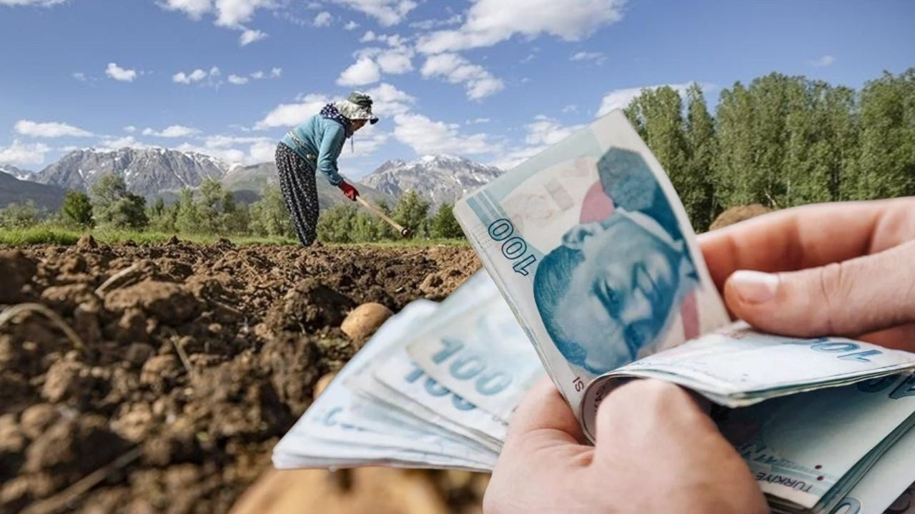 Çiftçilere 349 milyon liralık destek ödemesi bugün hesaplara geçiyor