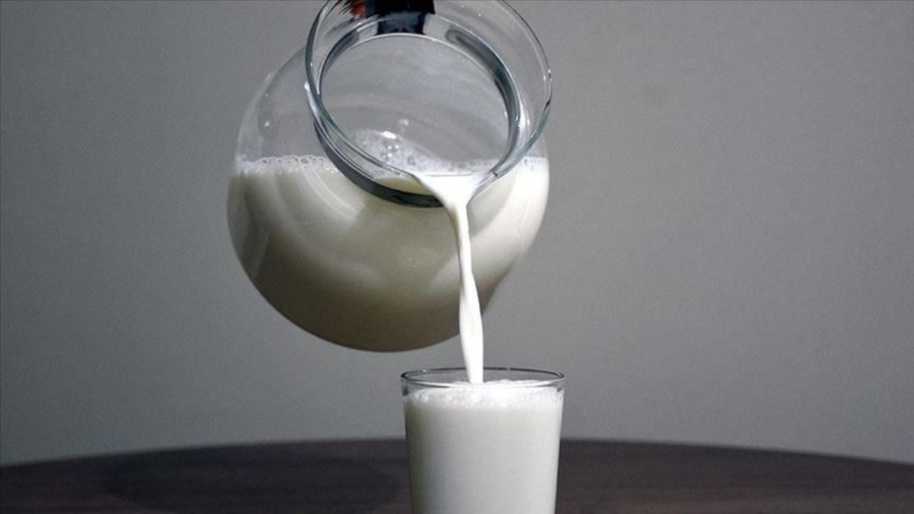 Toplanan süt miktarı azaldı