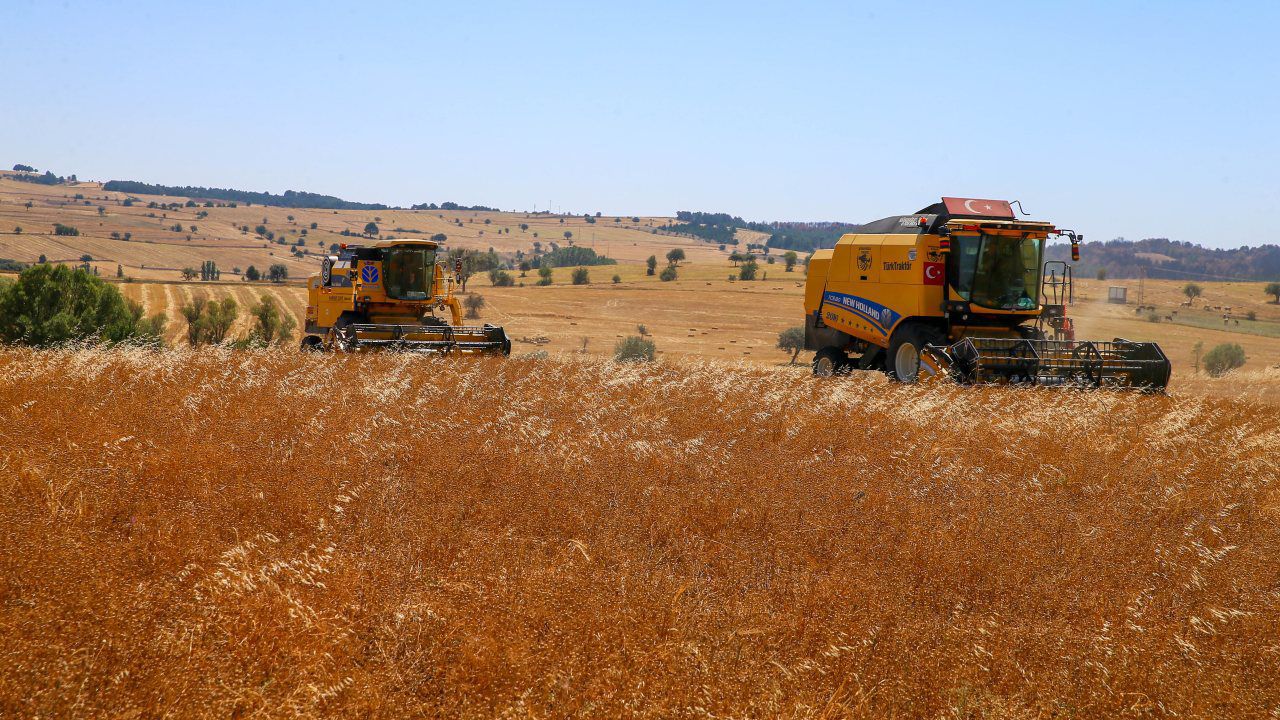 FAO ve Türkiye’den yeni proje FAO ve Türkiye’den yeni proje